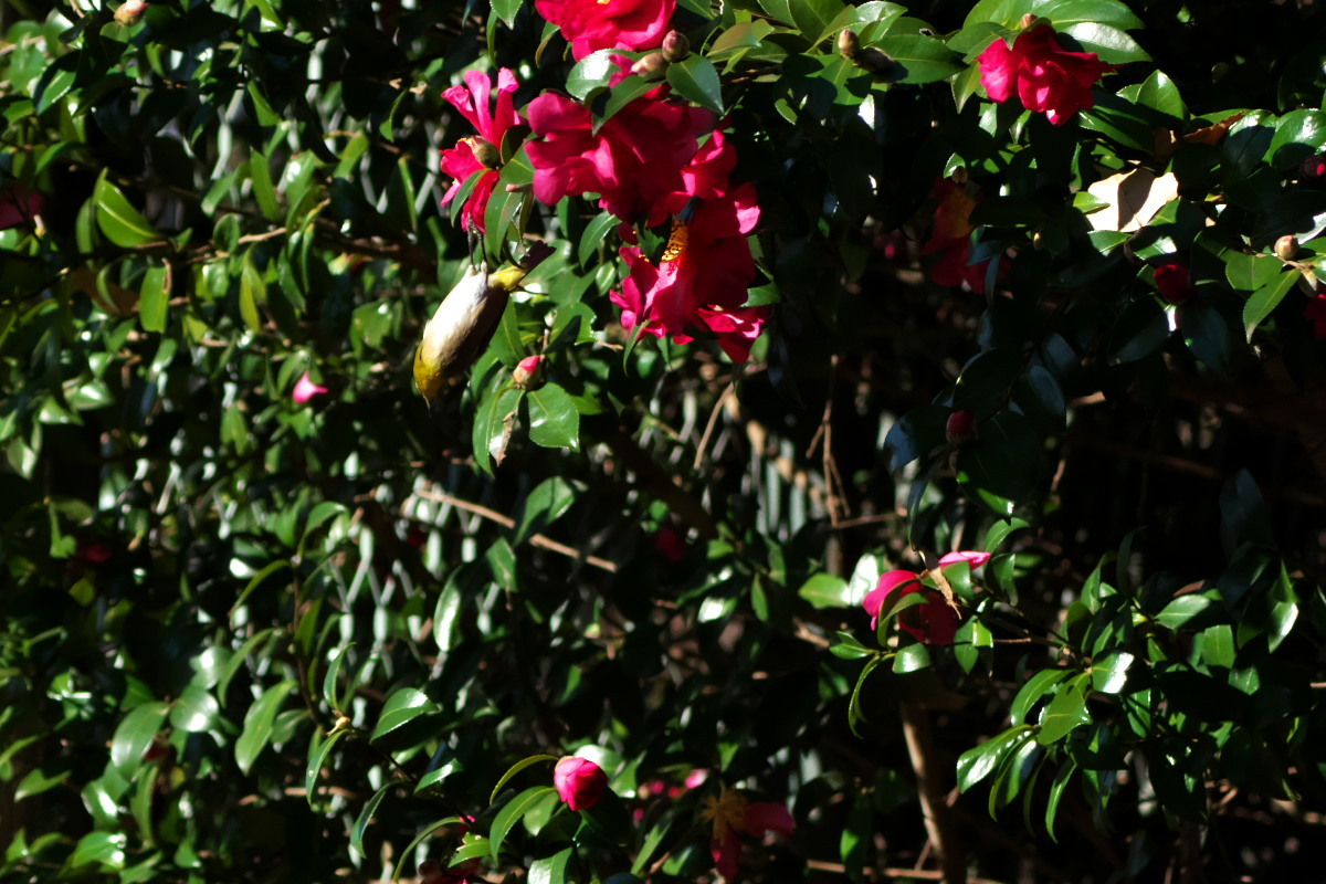 a0083081_15175623.jpg