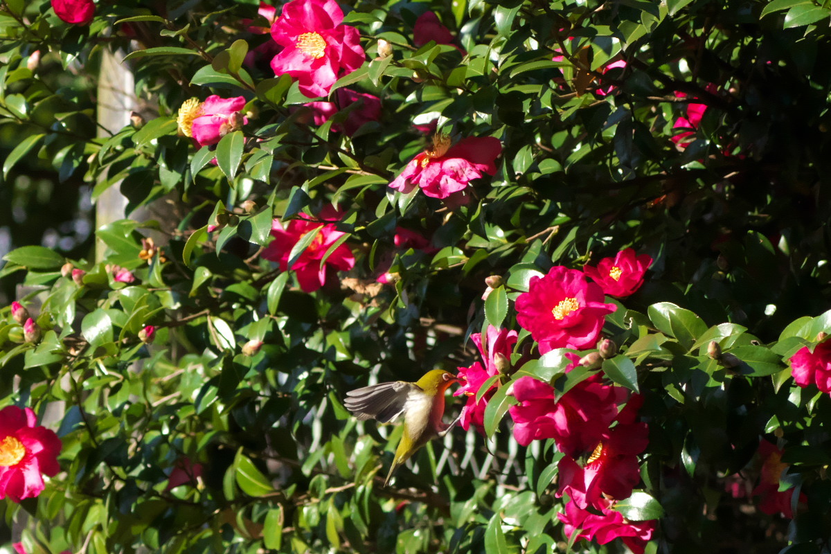a0083081_15181610.jpg