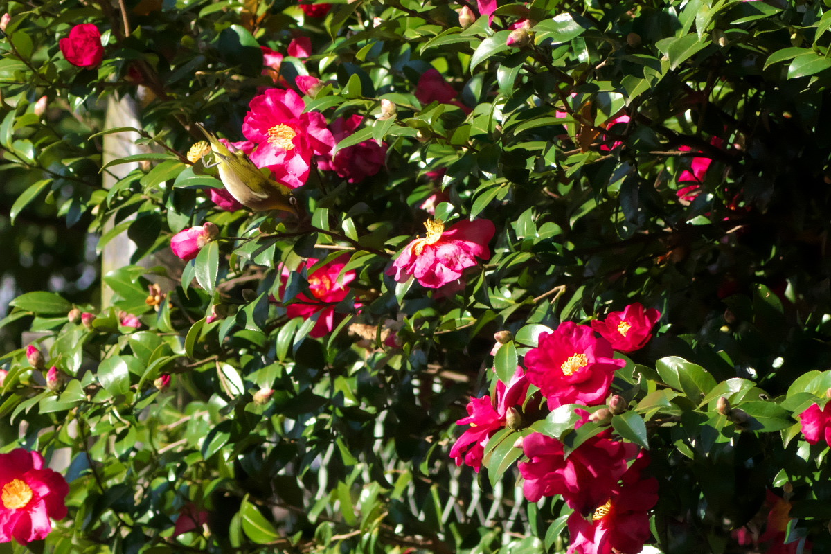 a0083081_15191241.jpg
