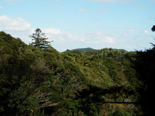 b0334084_22345294.jpg
