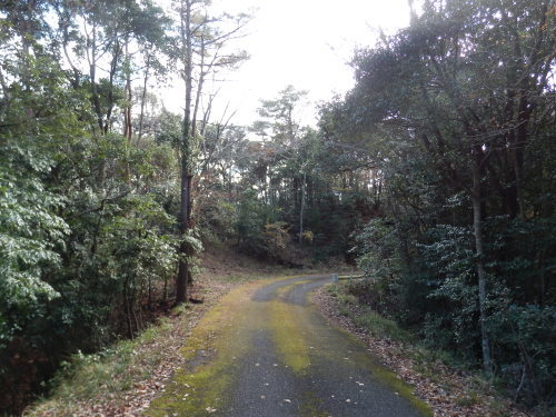 b0334084_22361952.jpg