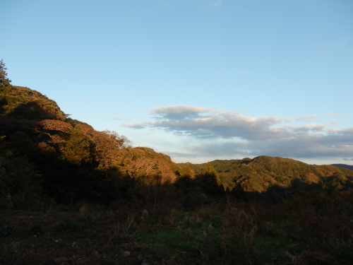 b0334084_22464534.jpg