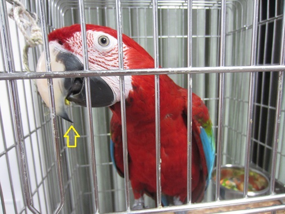 f0234590_09522894.jpg