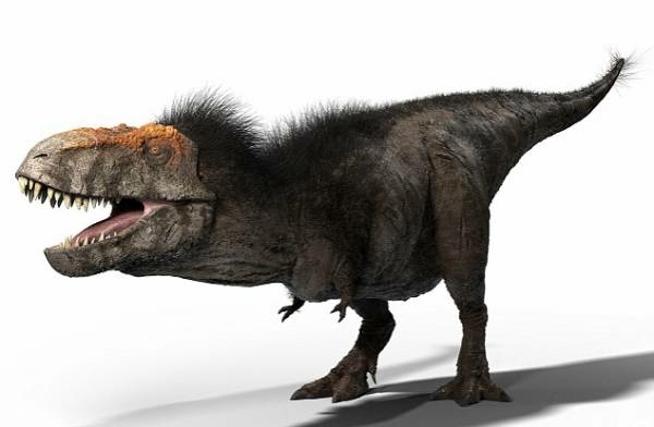 ティラノザウルス最新画像 Hosumiの美しく楽しい毎日