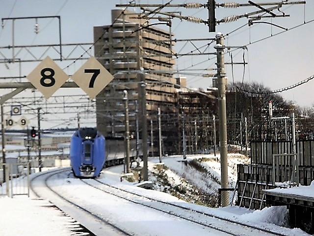 藤田八束の鉄道写真＠東北新幹線の写真を仙台駅で・・東北本線岩沼駅からの貨物列車の写真を撮りました_d0181492_22020322.jpg