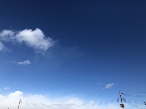 f0215094_18183831.jpeg
