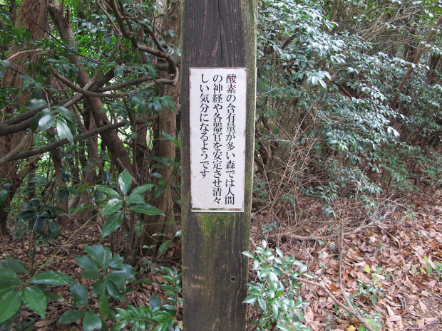 a0166196_14514851.jpg