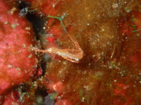e0088400_14465375.jpg