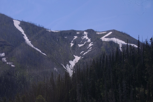 c0062603_14525995.jpg