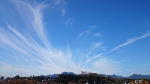 a0286304_10485445.jpg