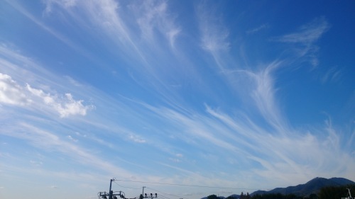 a0286304_11012292.jpg