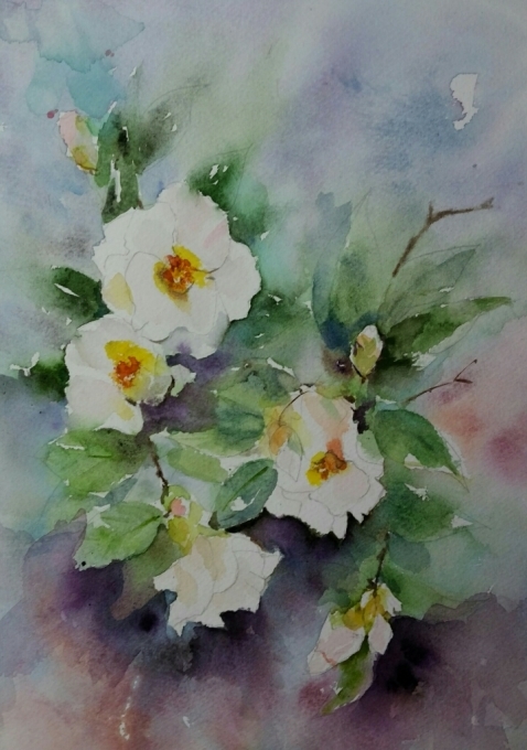 水彩画 原画 花 椿 白 真作 絵 絵画 手描き ホルベイン フラワー