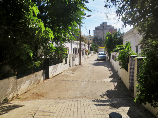 b0064411_05052005.jpg