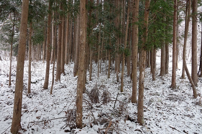 f0360815_15442309.jpg