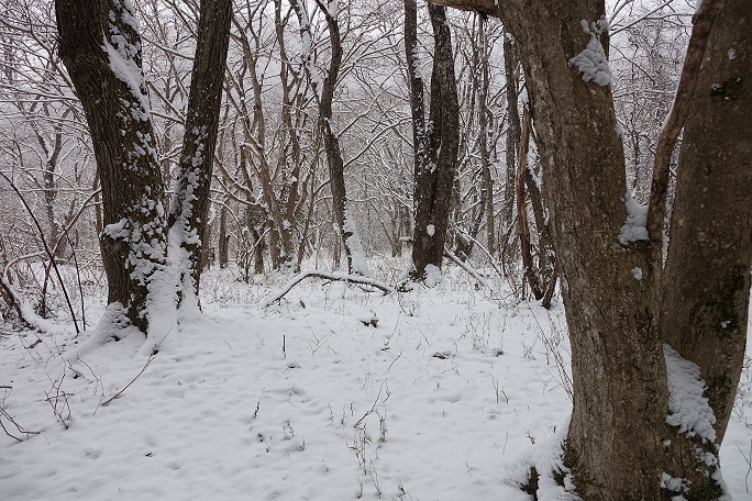 f0360815_15442467.jpg