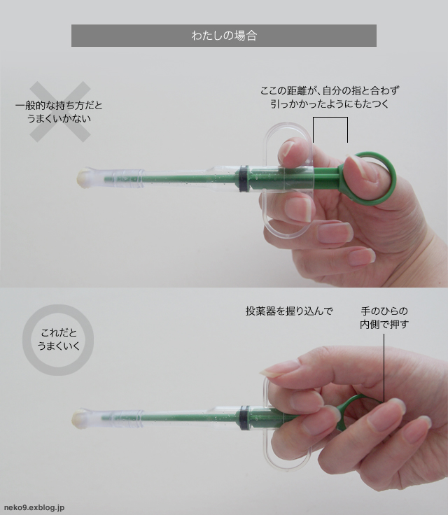 経口投薬器での猫の投薬方法 キューちゃんの場合 賃貸ネコ暮らし 賃貸住宅でネコを室内飼いする工夫