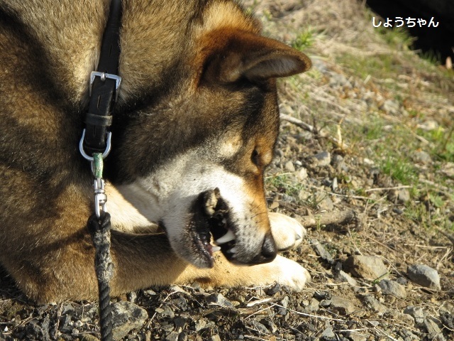 f0143123_08461504.jpg
