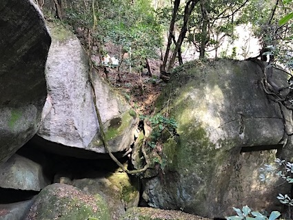 a0300530_17455216.jpg