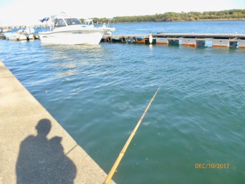 b0156734_15222144.jpg