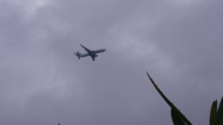 e0166734_19324296.jpg