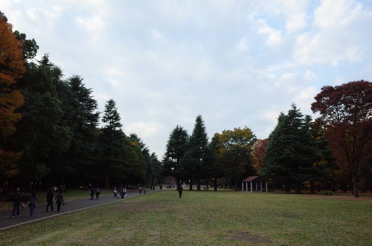 a0287336_21525648.jpg