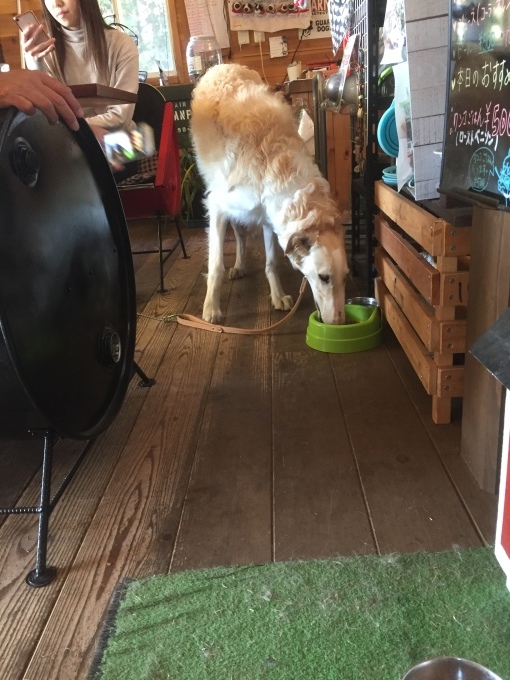 b0369239_11232925.jpeg