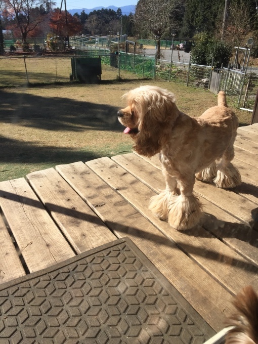 b0369239_11264765.jpeg