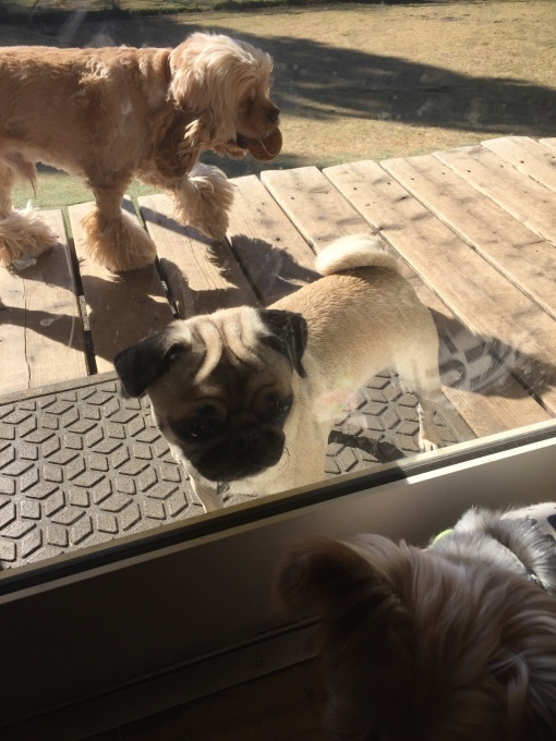 b0369239_11274315.jpeg