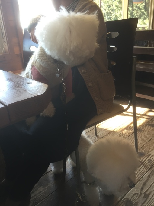 b0369239_11275638.jpeg