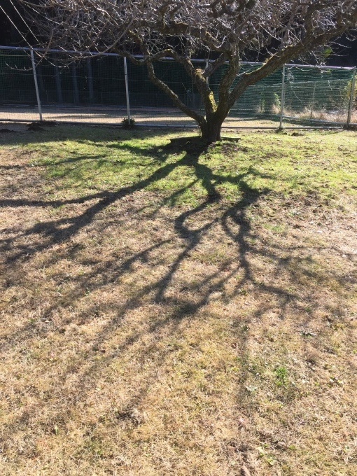 b0369239_11285411.jpeg