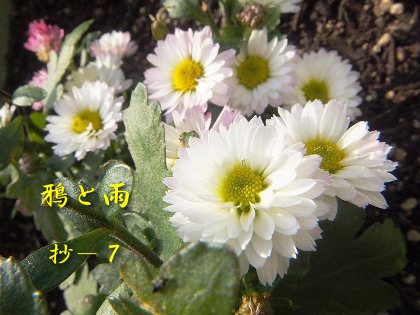与謝野寛遺稿歌集/与謝野寛/明治書院 - 短歌、俳句 - 短歌、俳句