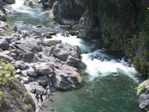 b0330040_23531671.jpeg