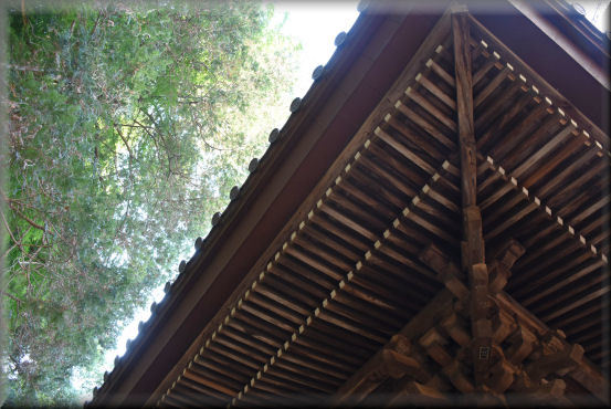 f0363141_21041242.jpg