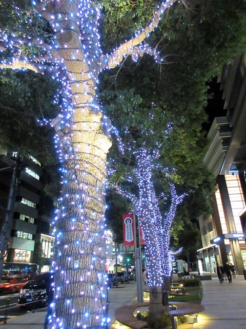 【東京ミッドタウンのクリスマス2017】_b0009849_21105813.jpg