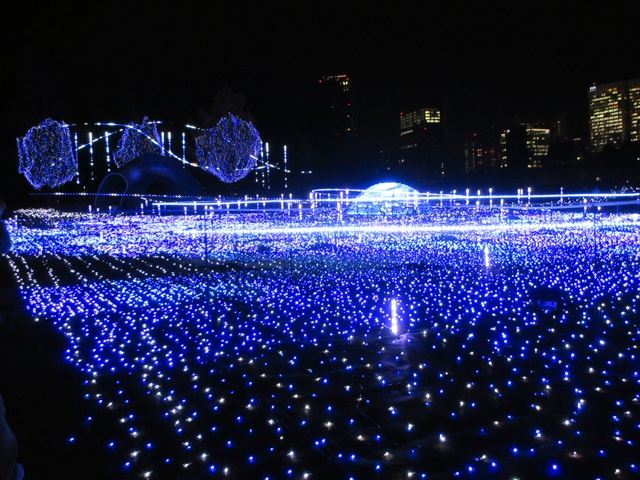 b0009849_21291288.jpg