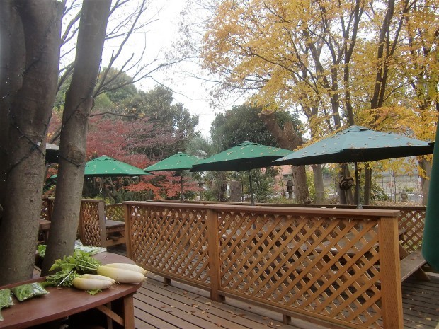 f0329849_17141634.jpg