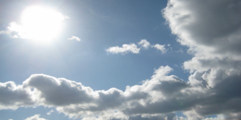 c0226353_1310529.jpg