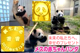 c0119160_22130826.png