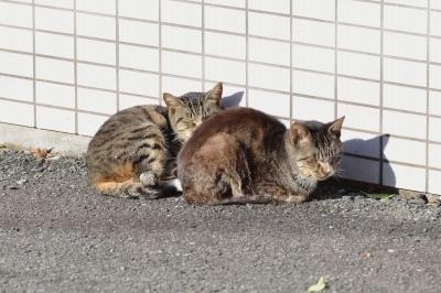 a0016161_17463780.jpg