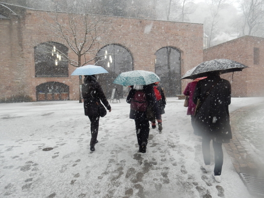 ’17,12,13(水)④雪のハイデルベルク城と街歩き!_f0060461_12591875.jpg