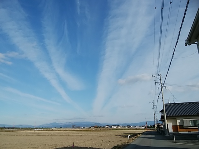d0372766_21134586.jpg