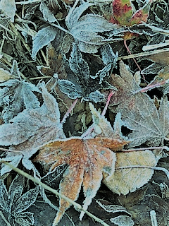 b0076967_08561792.png