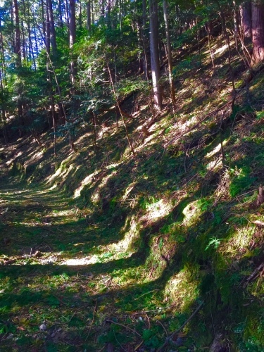 c0302272_17053548.jpg