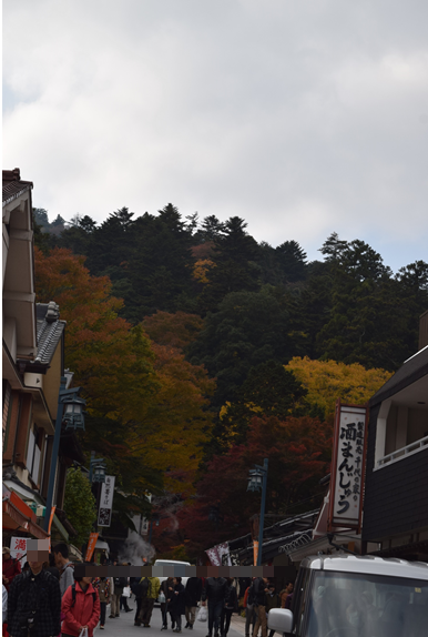 ♪ ダニエル 今年も高尾山に行ってきたよ～(^。^)y-.。o○ ♪_b0242873_12420504.png