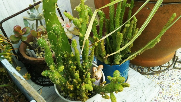 f0366679_22355864.jpg