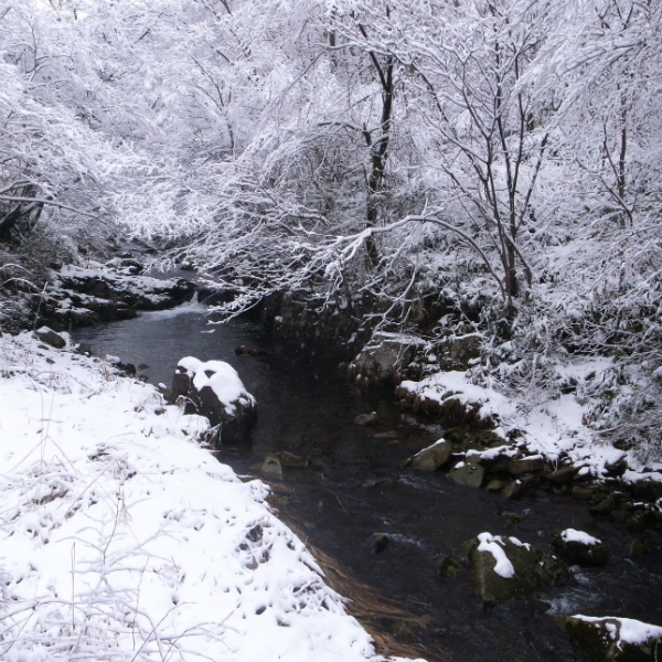 b0247880_07172580.jpg