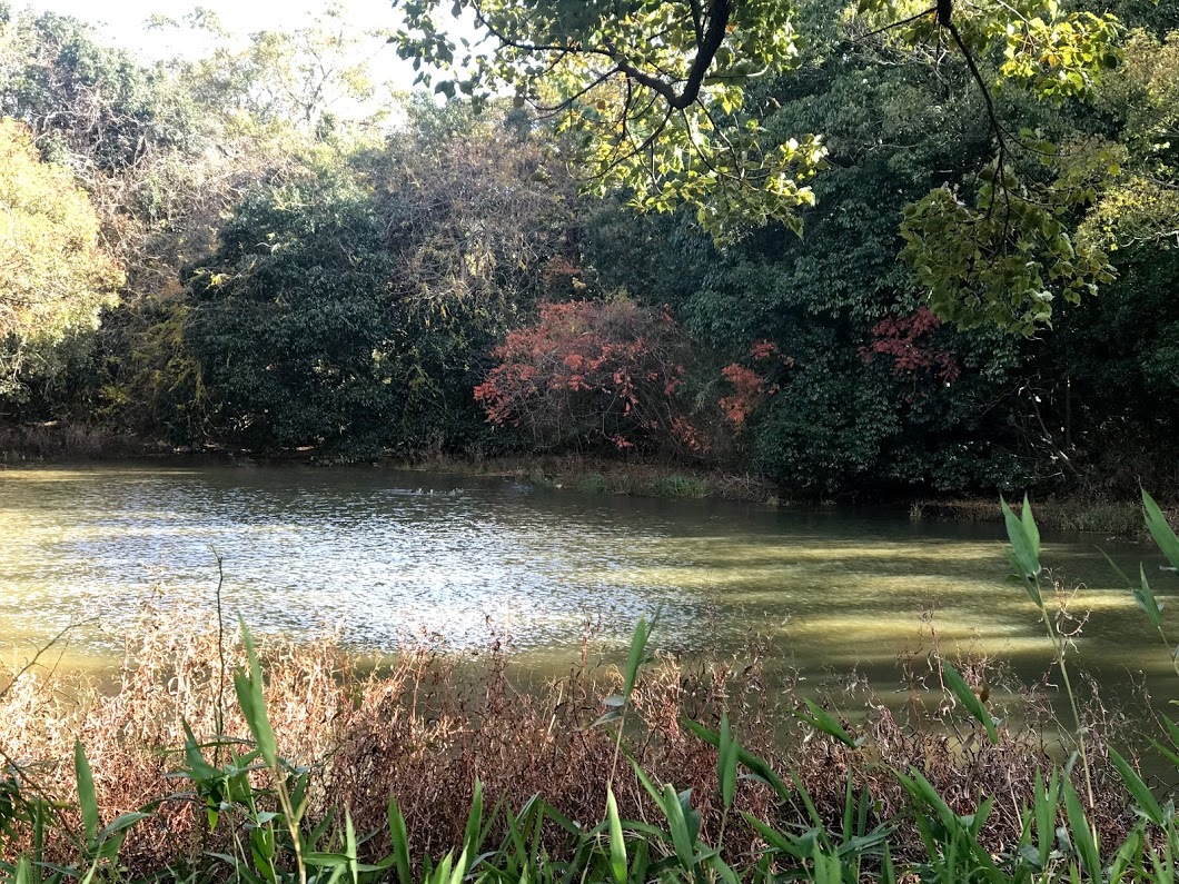 e0024081_19481822.jpg