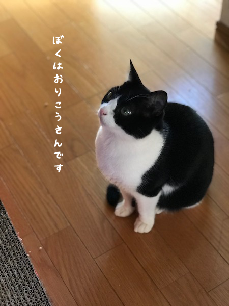 a0216583_02174854.png