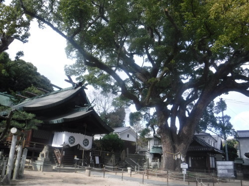 岡山市から尾道へ_d0195183_02542571.jpeg