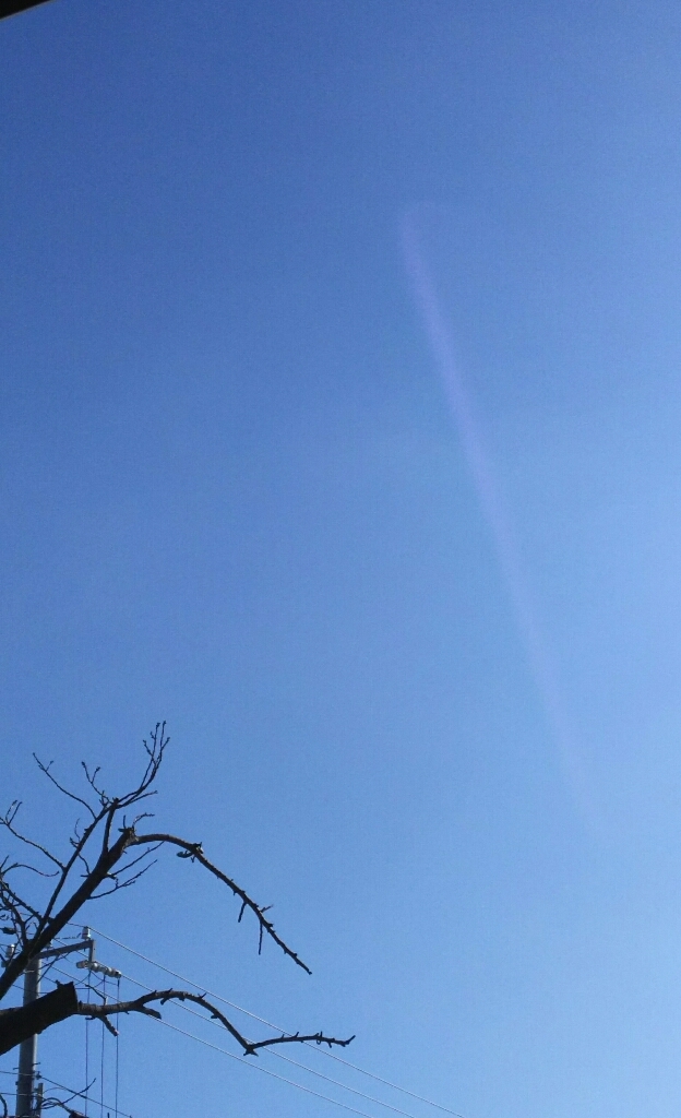 c0191390_14132003.jpg
